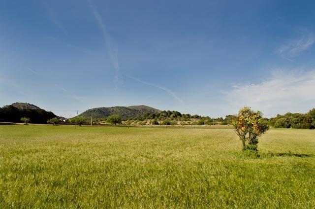 Vakantieboerderij S' Horta