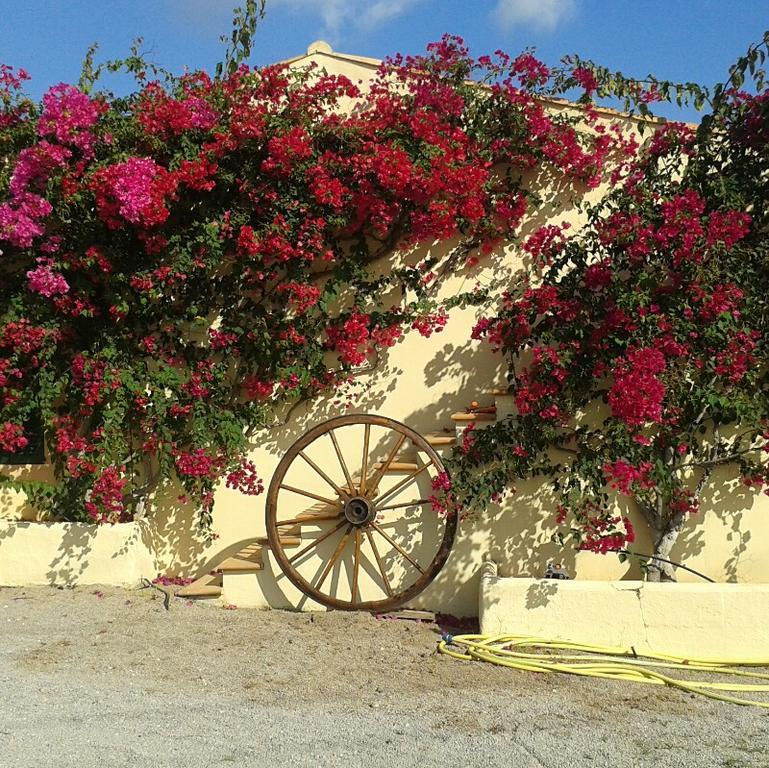 S' Horta Capdepera (Mallorca)